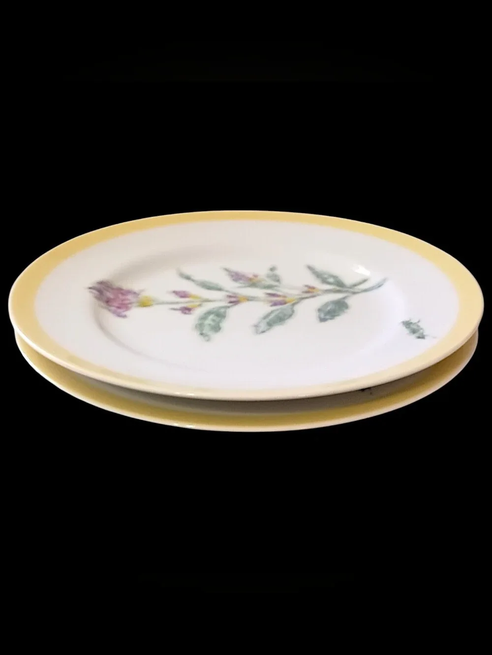 2 Williams Sonoma Flowering Herbs Salad Plates Purple Herb Flowers Grasshopper